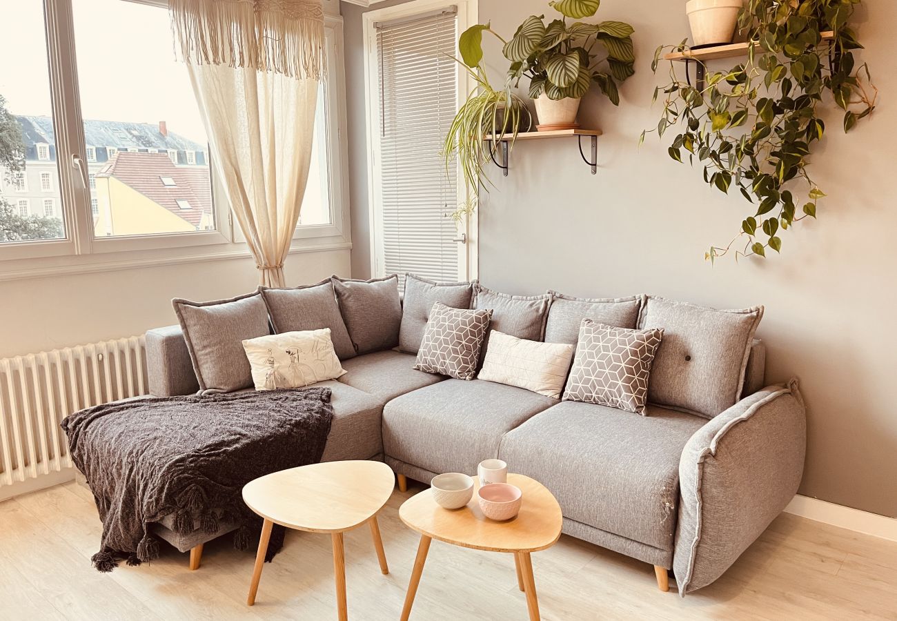 Living room, cosy, sofa