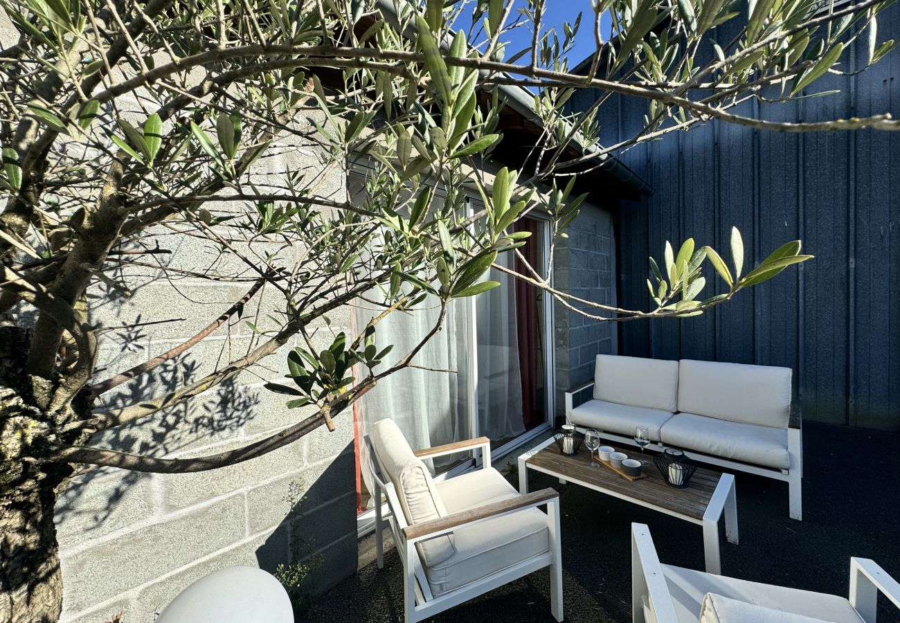 Terrace, garden furniture, olive tree 