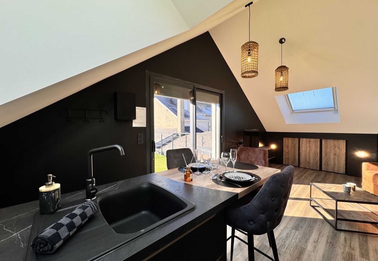 Studio in Le Mans - Le Loft - Centre - Vieux Mans - 2 pers