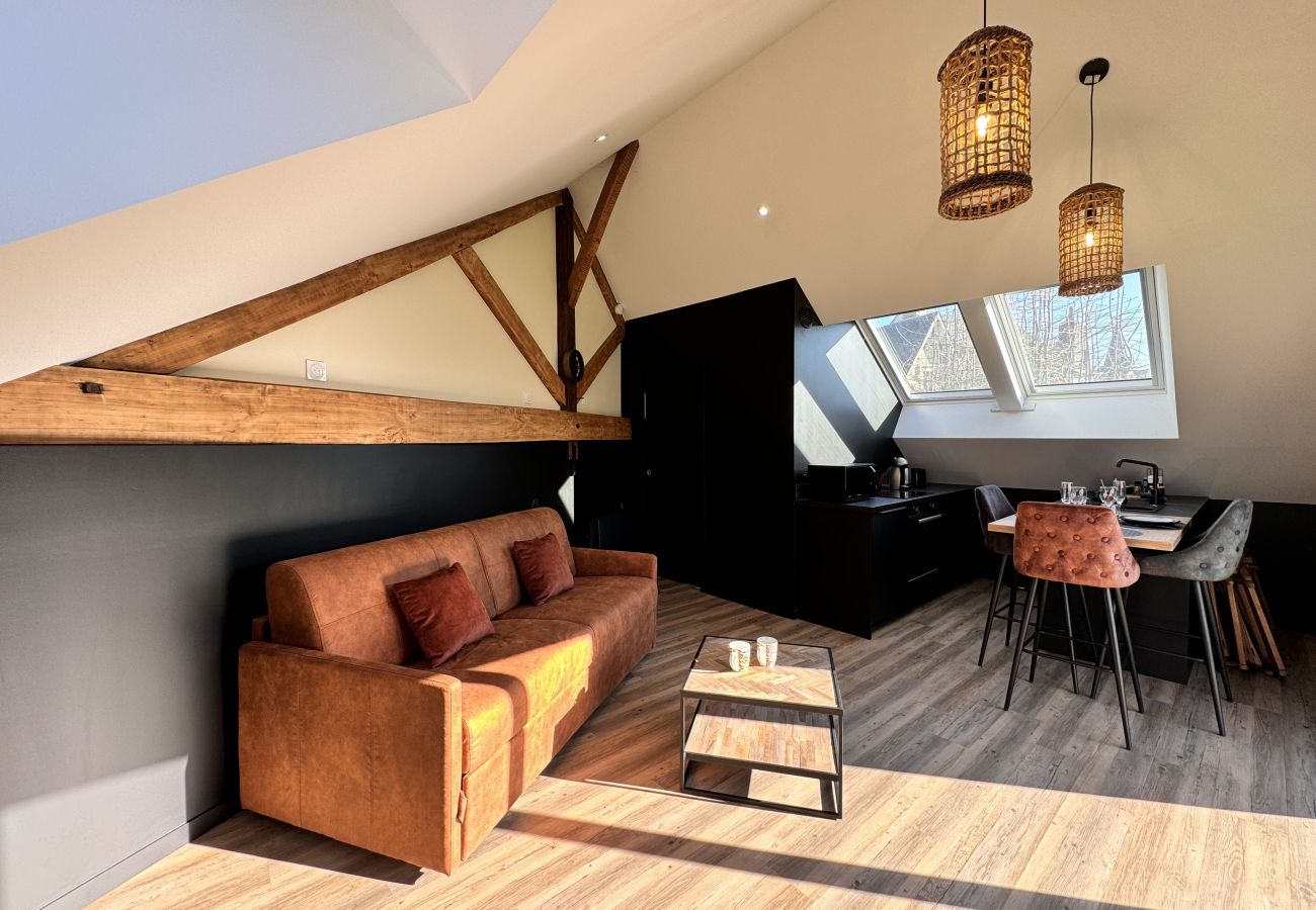 Studio in Le Mans - Le Loft - Centre - Vieux Mans - 2 pers