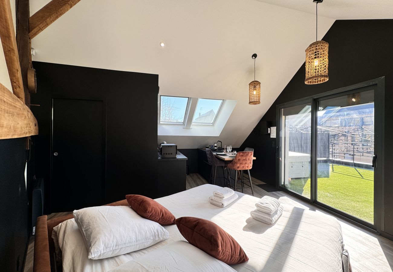 Studio in Le Mans - Le Loft - Centre - Vieux Mans - 2 pers